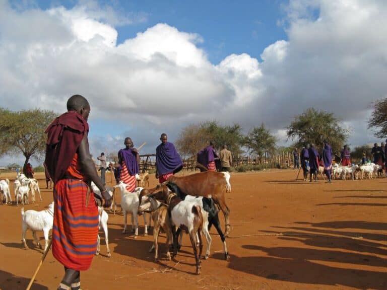 iRideNairobi - Long Tours - Kenya Tanzania Highlights-4